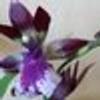 431272275@vkontakte