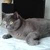 481966805516615@facebook