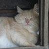 9127561220686239279@mailru