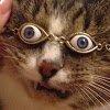 105213856498354551653@google