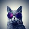 113603690382454953011@google