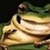 peace_frog