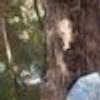 51140442@vkontakte