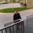108175427953181060036@google