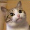 113199501127811056076@google