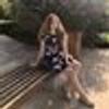 136877604@vkontakte