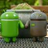 100190794617937659002@google