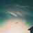 118054066016449603424@google