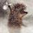106059447576519381681@google