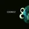 105051353627940121333@google