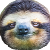 116667390613922748158@google