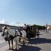 840753355004@odnoklassniki