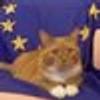 219088325@vkontakte