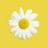 116547256857741159229@google