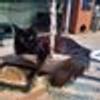 121780604@vkontakte