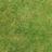 116283530846423963263@google