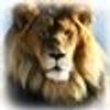 292144@vkontakte