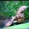 413994370@vkontakte