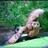 413994370@vkontakte