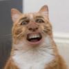 109408425140916516910@google