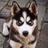 110874026340684375629@google