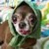 405360069@vkontakte