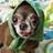 405360069@vkontakte