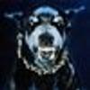400319875@vkontakte