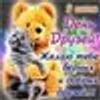 500853887@vkontakte