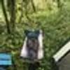 1193182@vkontakte