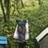 1193182@vkontakte
