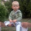 101498722416584650519@google