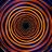 113214515598433476950@google