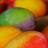 107498869357662283210@google