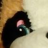 118083071835809202741@google