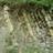 135187907@vkontakte