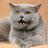 110854016734024223153@google