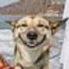 421719837@vkontakte