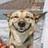 421719837@vkontakte
