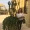 543088571@vkontakte