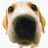 107305820610318810168@google
