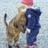152966062@vkontakte