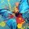 240845964@vkontakte