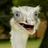 107303517107841322653@google
