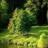 115037577845471815511@google