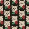 110563030376215524737@google