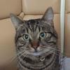 110912582780694439634@google