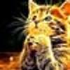 217329744@vkontakte