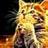 217329744@vkontakte