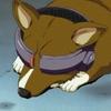 Bebop